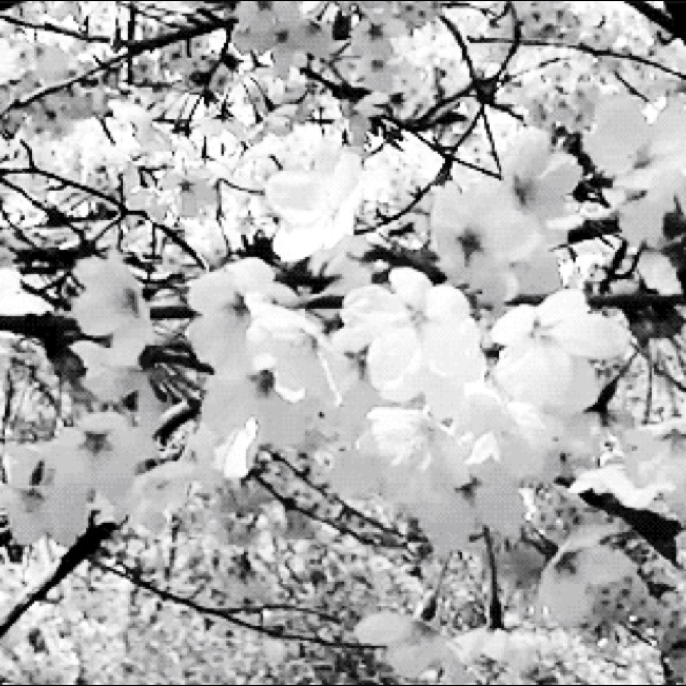 New closet & boutique updates coming stay tuned!